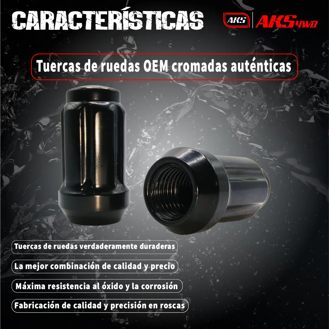 3-AKS-WS45-6-CARACTERISTICAS-100